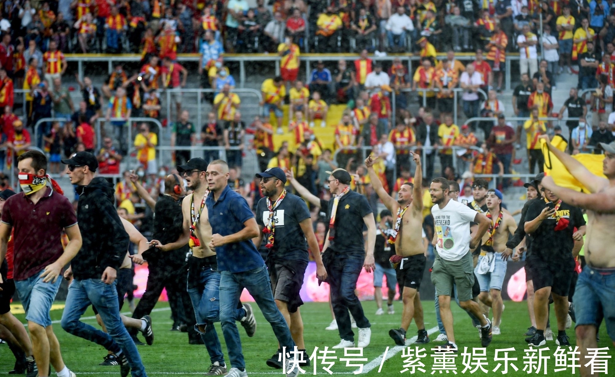 50吨植物油精炼设备