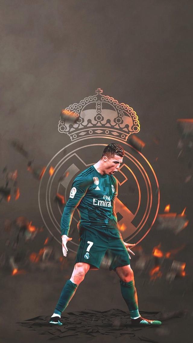 日处理30T物理精炼设备